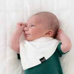 Bib In Cloud -Kyte Baby kyte baby bib cloud bib in cloud 32582508380271