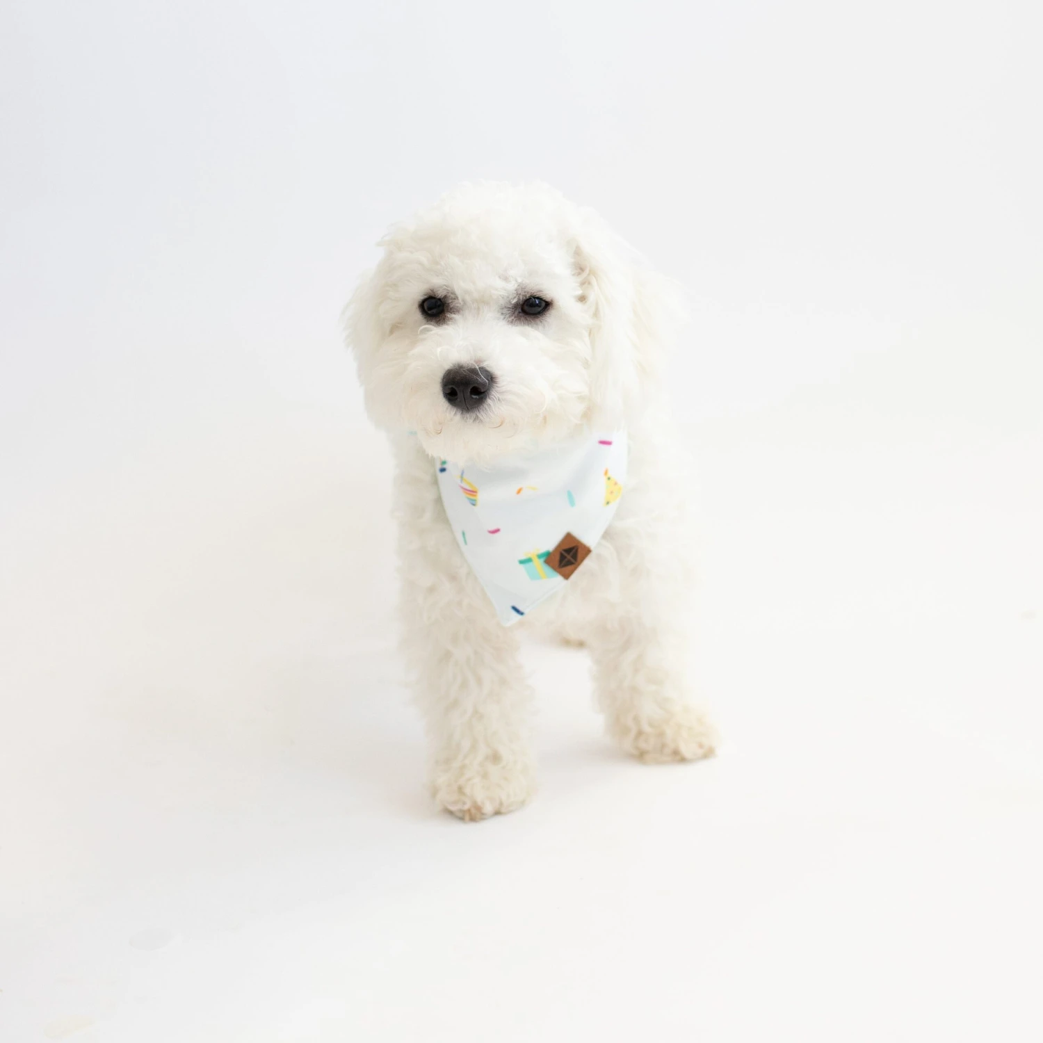 Dog Bandana In Cloud Party 6 Dog Bandana In Cloud Party - Image 4