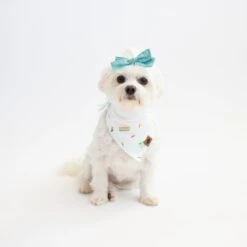 Dog Bandana In Cloud Party 9 Dog Bandana In Cloud Party -Kyte Baby kyte baby dog bandana dog bandana in cloud party 32605488283759