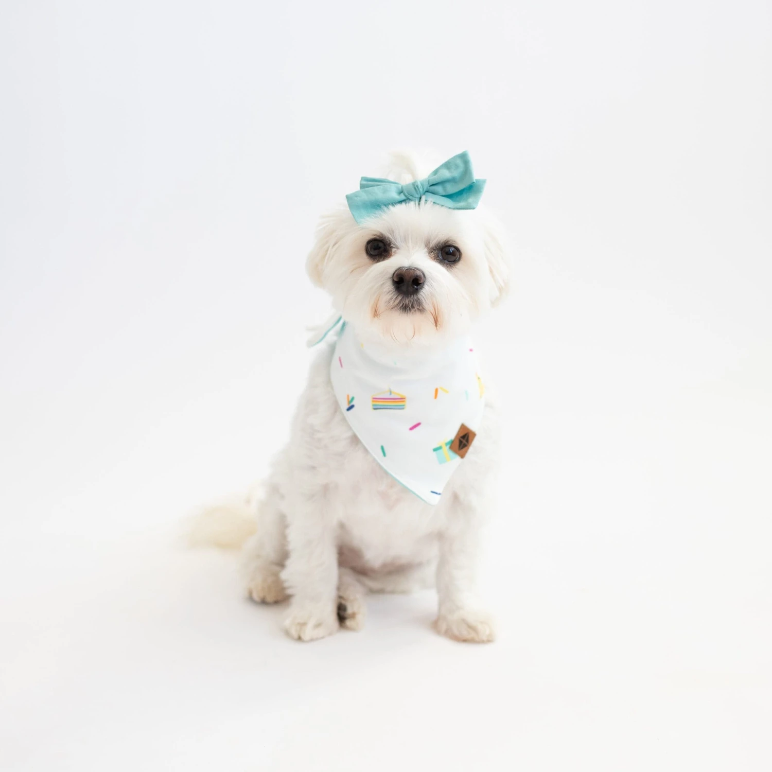 Dog Bandana In Cloud Party 5 Dog Bandana In Cloud Party - Image 3