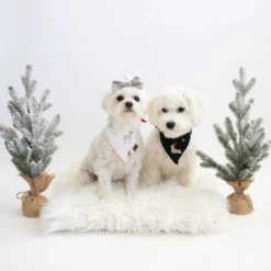 Dog Bandana In Midnight Deer -Kyte Baby kyte baby dog bandana dog bandana in midnight deer 32701763649647