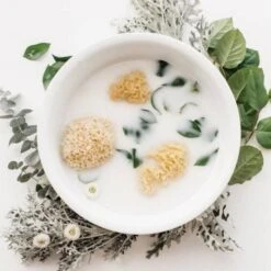 Sea Sponge -Kyte Baby kyte baby home and bath natural one size sea sponge 11722210345071