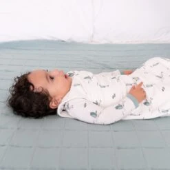 Sleep Bag In Blue Heron 1.0 -Kyte Baby kyte baby sleep bag 1 0 tog sleep bag in blue heron 1 0 32715455496303