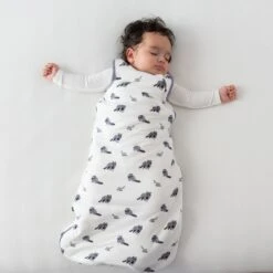 Sleep Bag In Raccoon 2.5 -Kyte Baby kyte baby sleep bag 2 5 tog sleep bag in raccoon 2 5 32715430330479