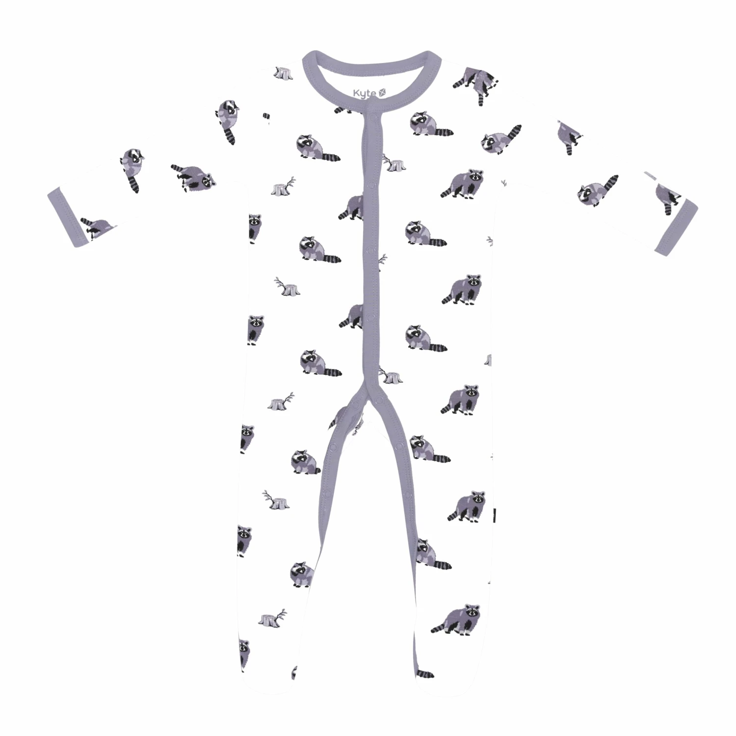 Footie In Raccoon 3 Footie In Raccoon