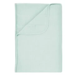 Toddler Blanket In Sage 2.5